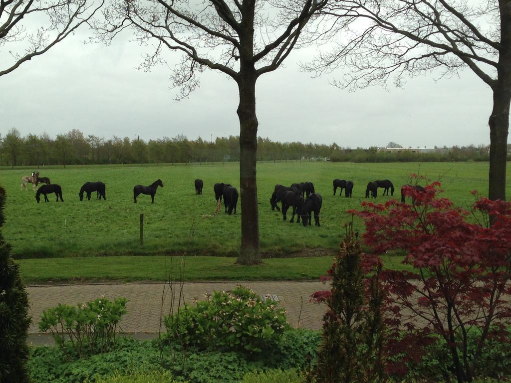 Bed & Breakfast Gaasterland